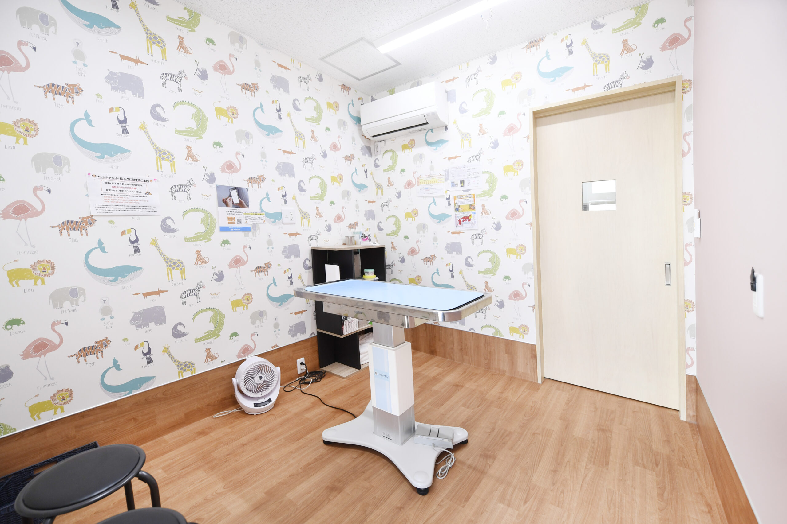 宝塚まりも動物病院photo