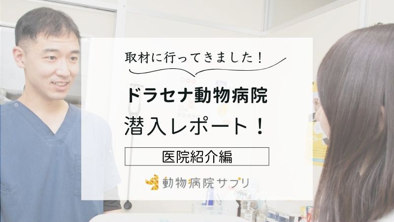 ドラセナ動物病院photo