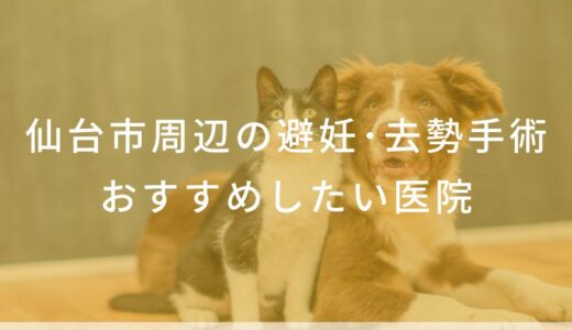 【2026年】仙台市周辺の去勢・避妊手術の動物病院 おすすめしたい5医院