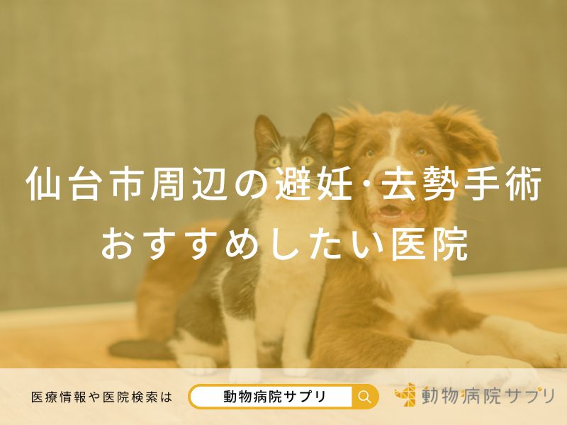 仙台市周辺おすすめの去勢・避妊手術の動物病院