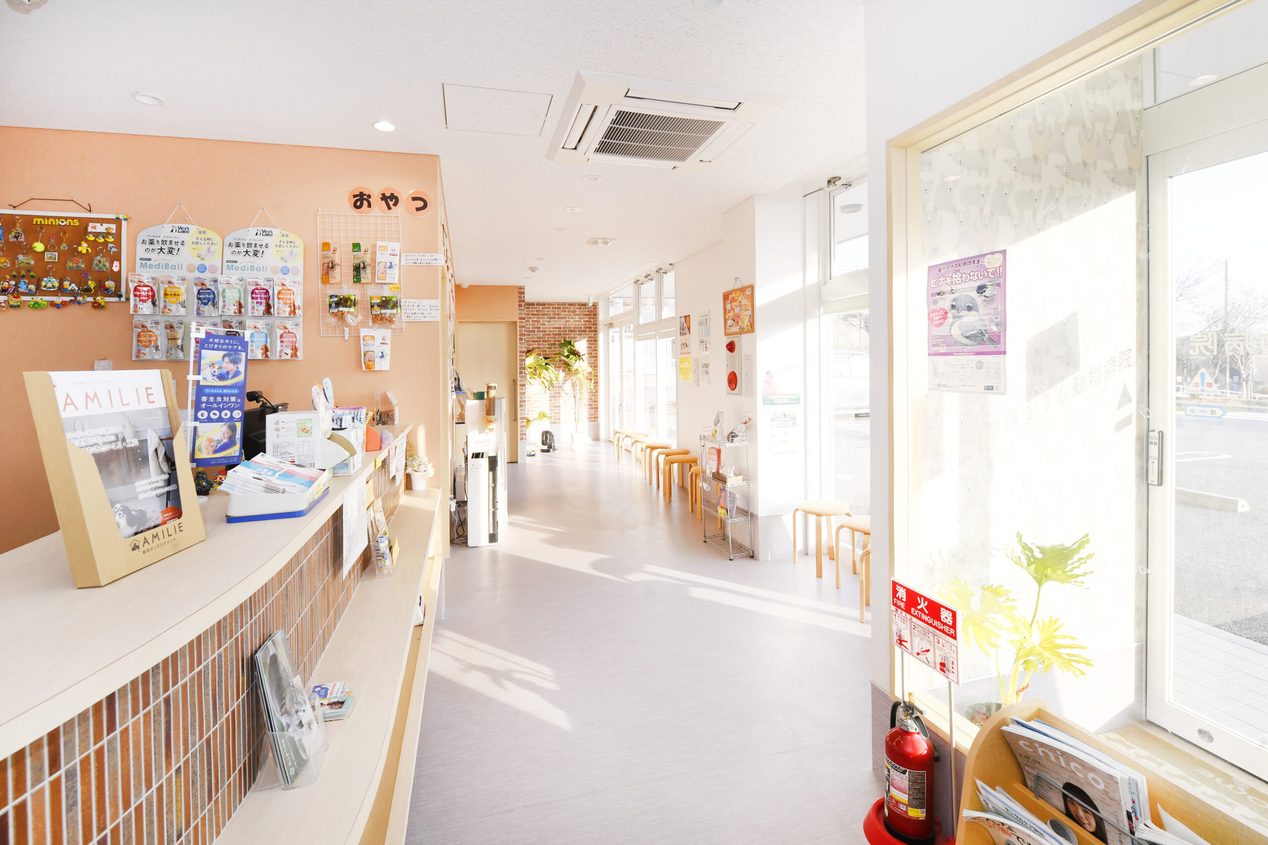 宝塚まりも動物病院photo