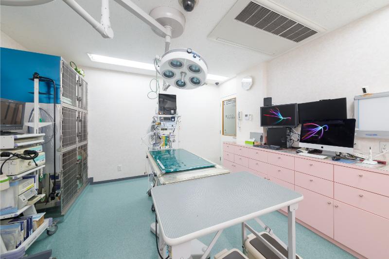 大田中央動物病院