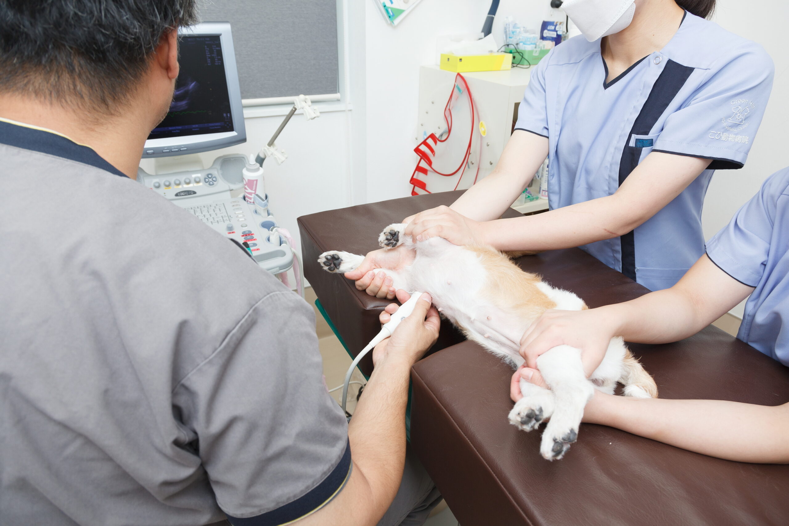 こひ動物病院photo