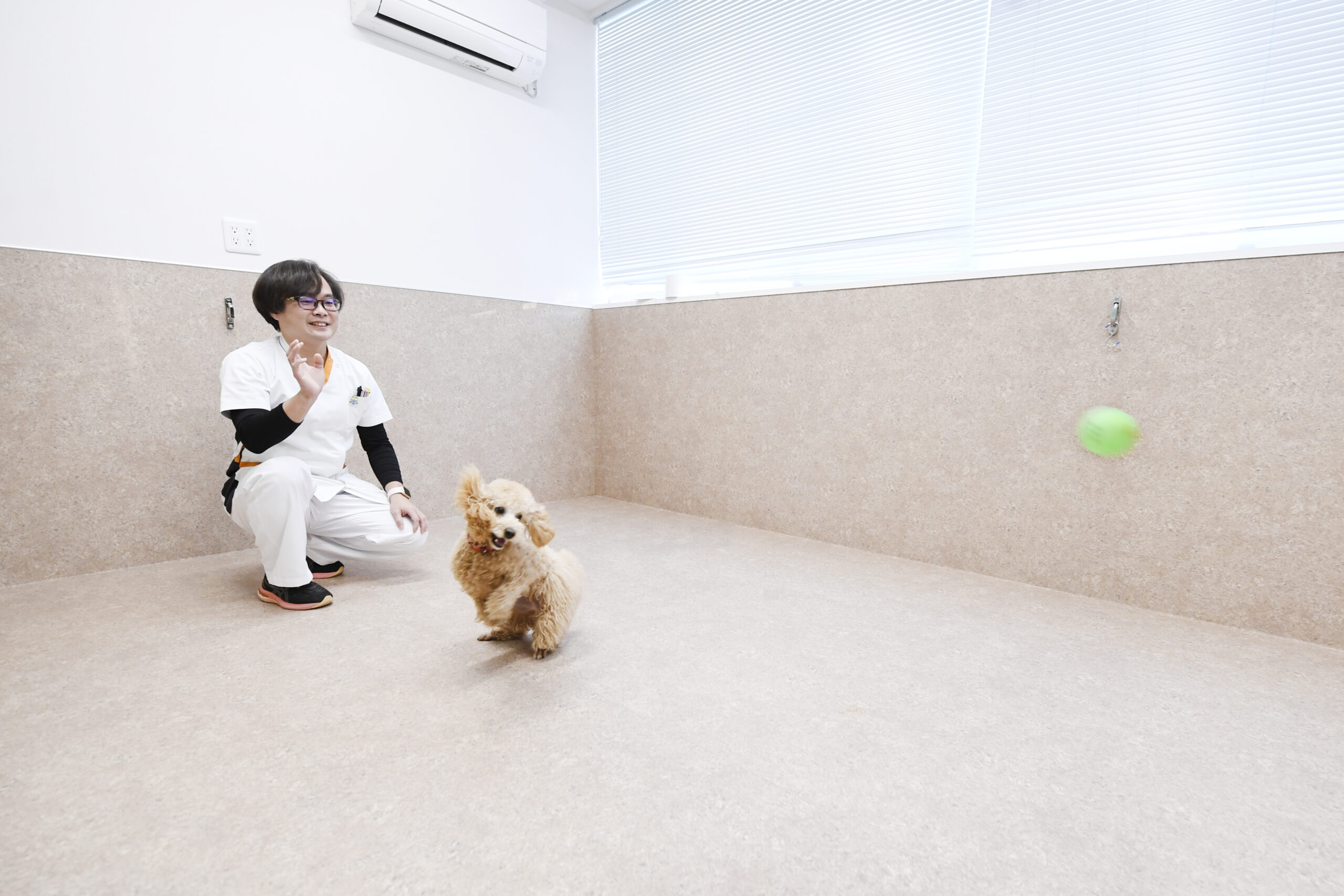 宝塚まりも動物病院photo