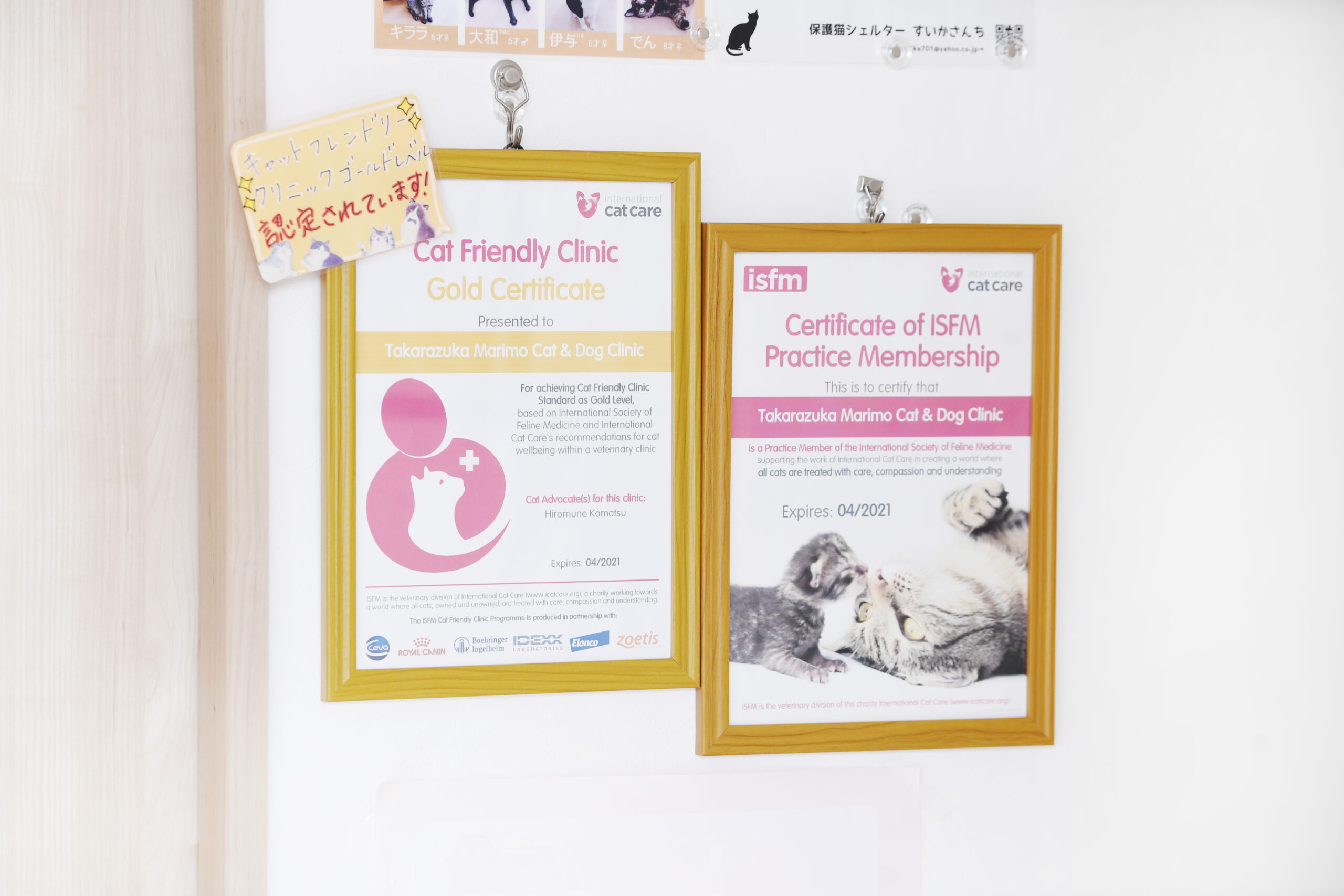 宝塚まりも動物病院photo