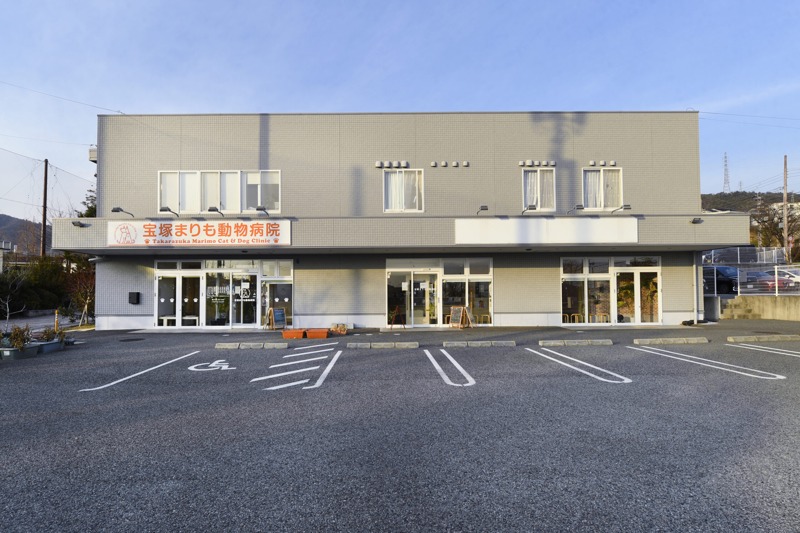 宝塚まりも動物病院photo