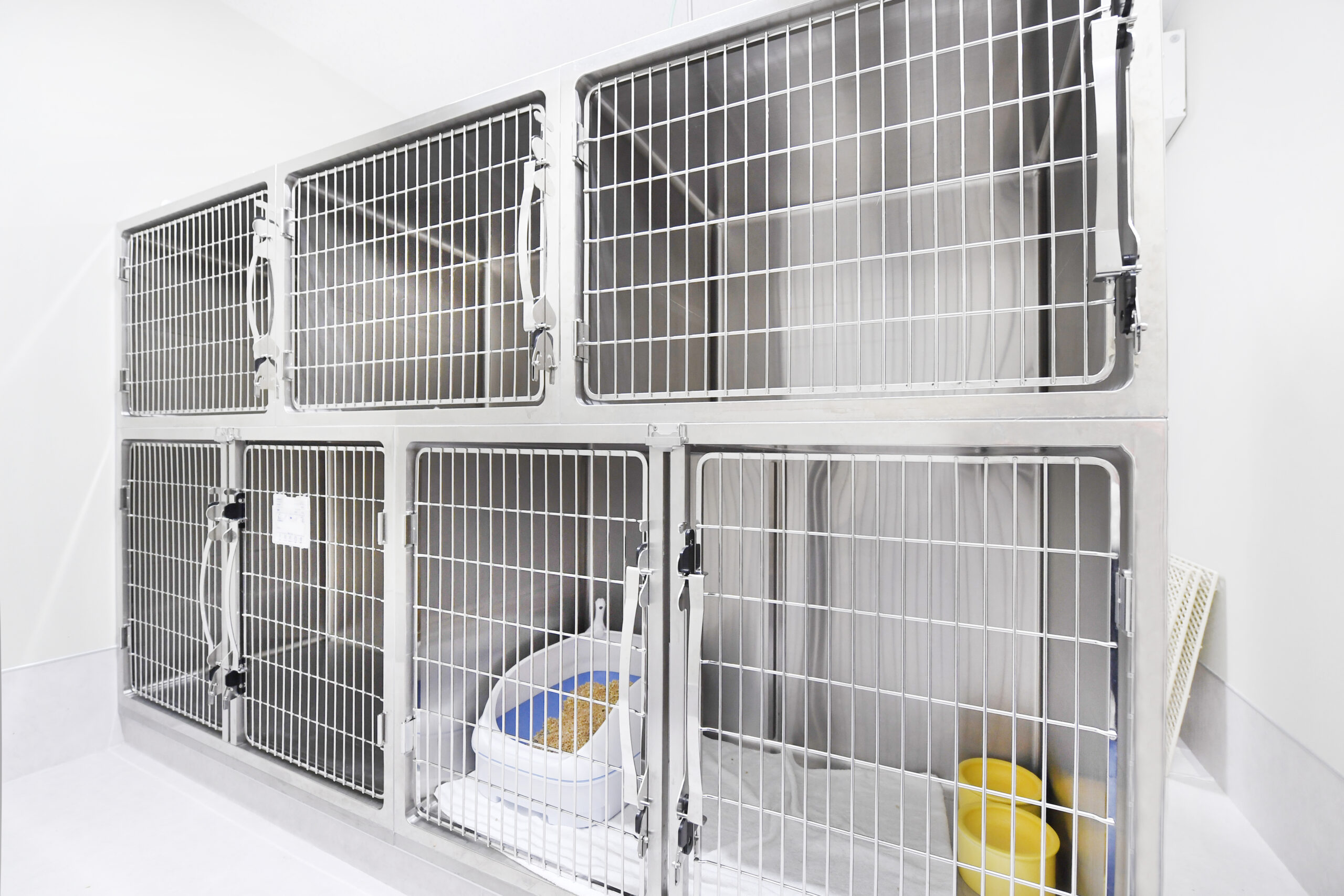 宝塚まりも動物病院photo