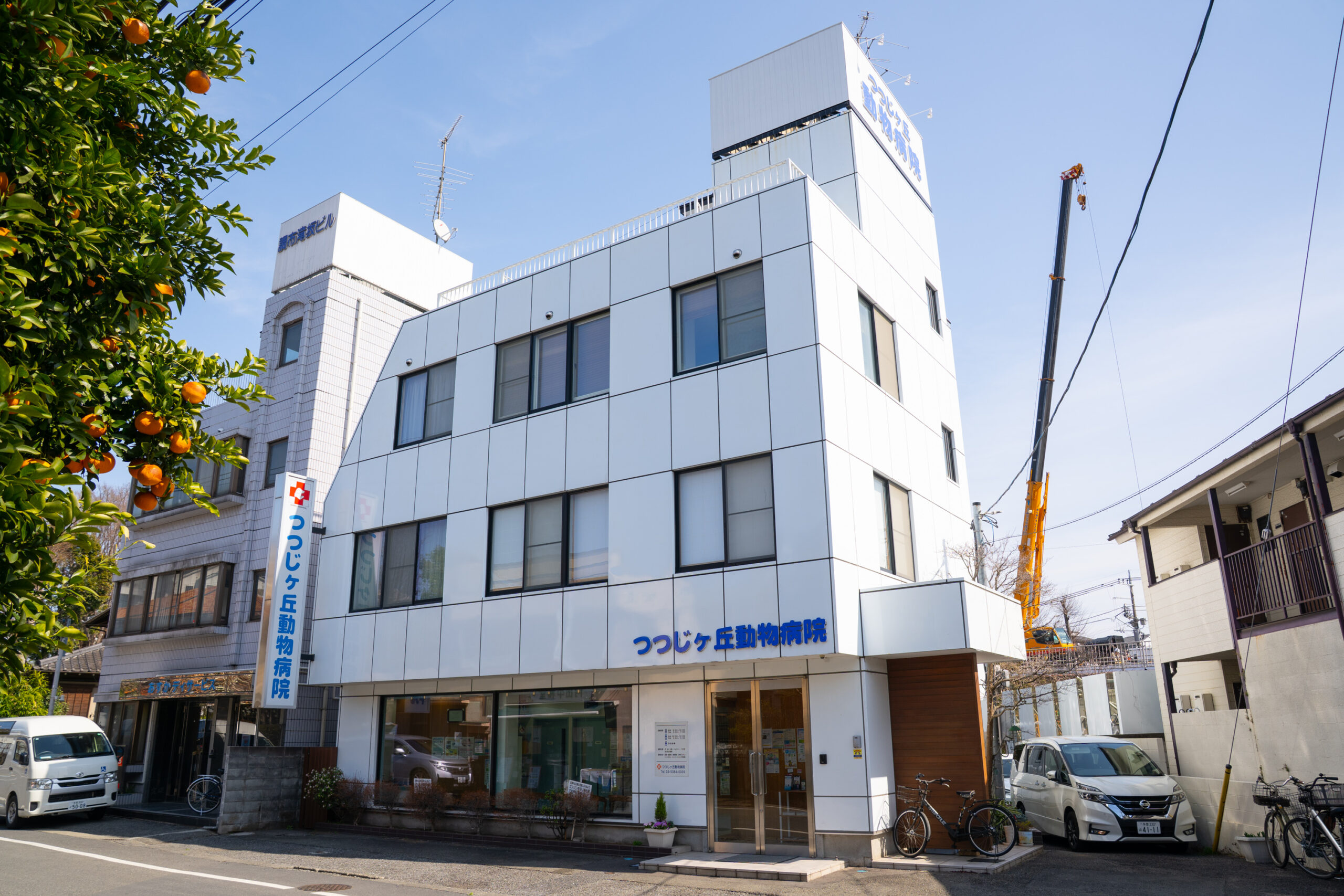 つつじヶ丘動物病院photo