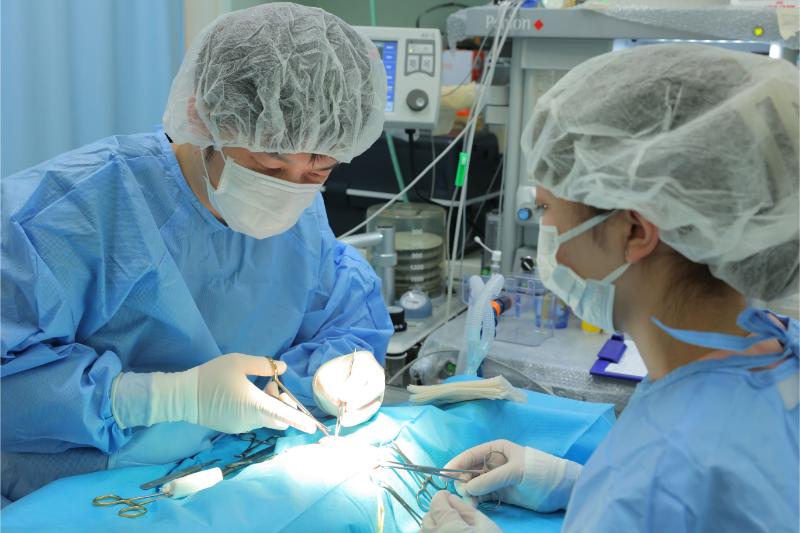 くさか動物病院