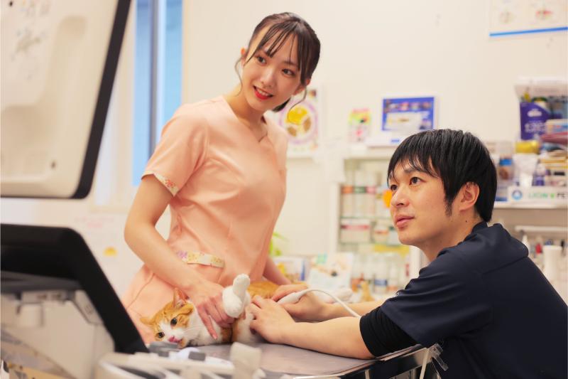 くさか動物病院