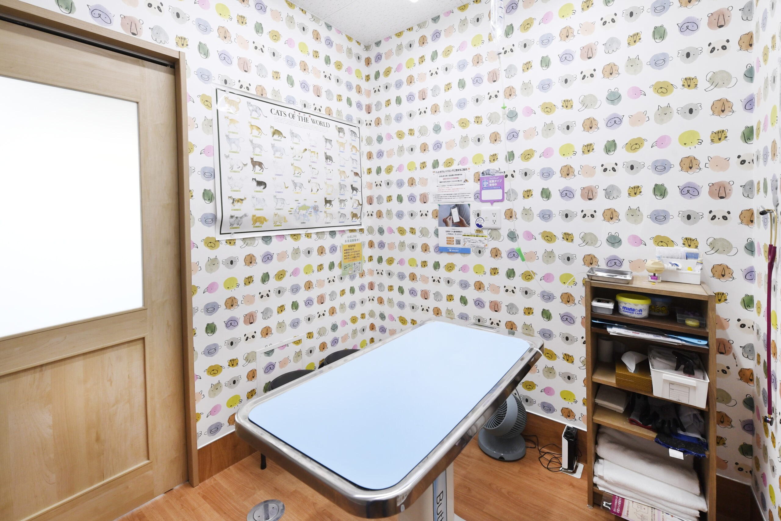 宝塚まりも動物病院photo