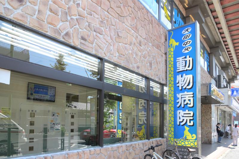 大田中央動物病院