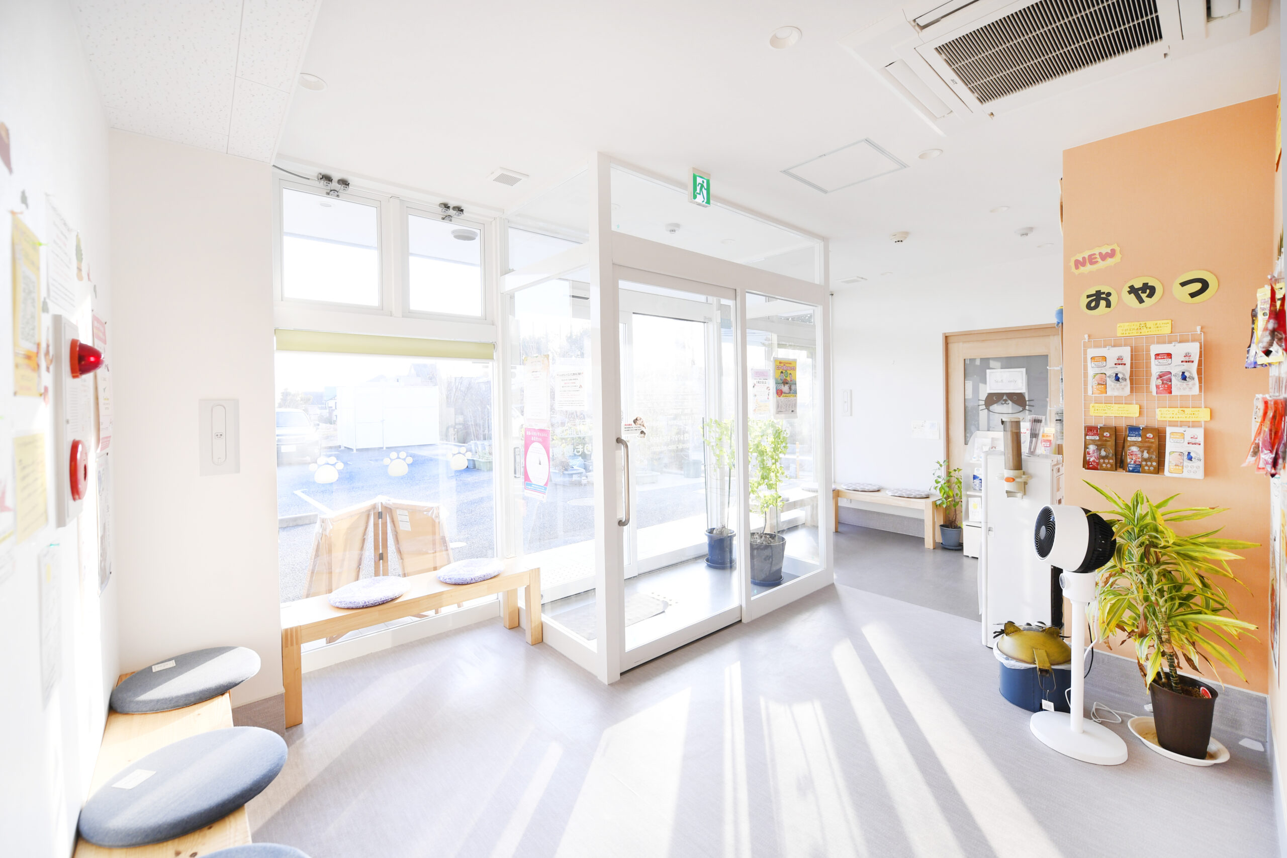 宝塚まりも動物病院photo