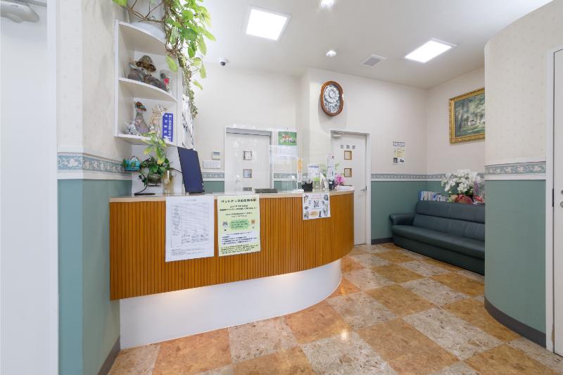 大田中央動物病院