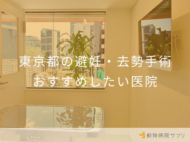 東京都の避妊・去勢手術 おすすめしたい医院