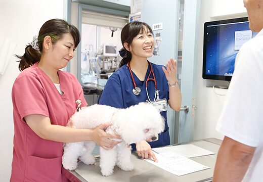 つつじヶ丘動物病院photo