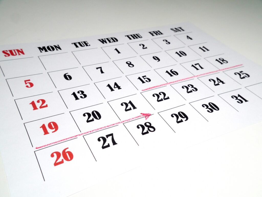 猫を1週間ペットホテルに預けることはできる?