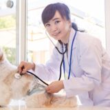 動物病院の受診に備えてペット保険は必要？加入のメリットや注意点などを解説