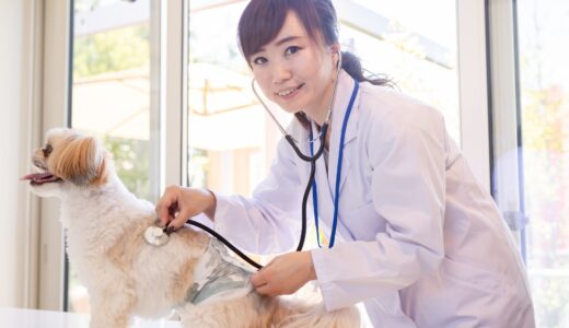 動物病院の受診に備えてペット保険は必要？加入のメリットや注意点などを解説