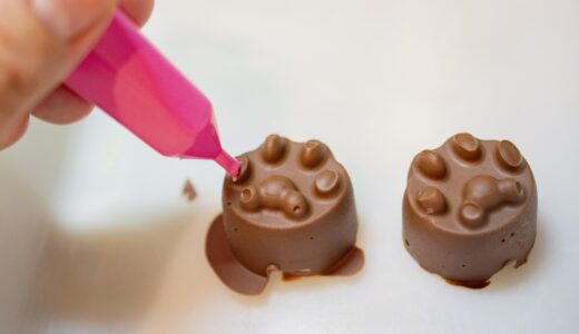 犬にチョコレートは危険！中毒症状や応急処置、早期受診の重要性を詳しく解説