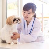 動物病院でペットが不安になる理由や対処法を詳しく解説！