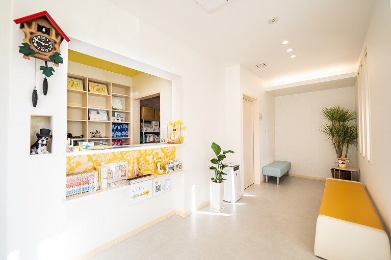 くさか動物病院