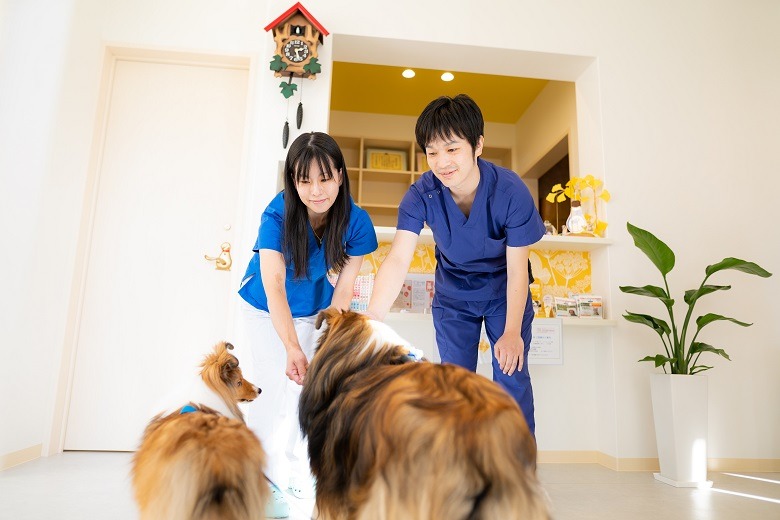 くさか動物病院