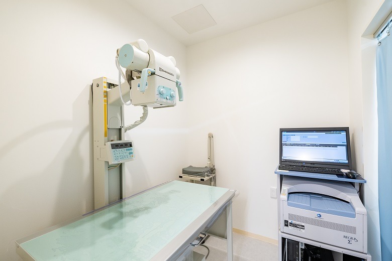 くさか動物病院