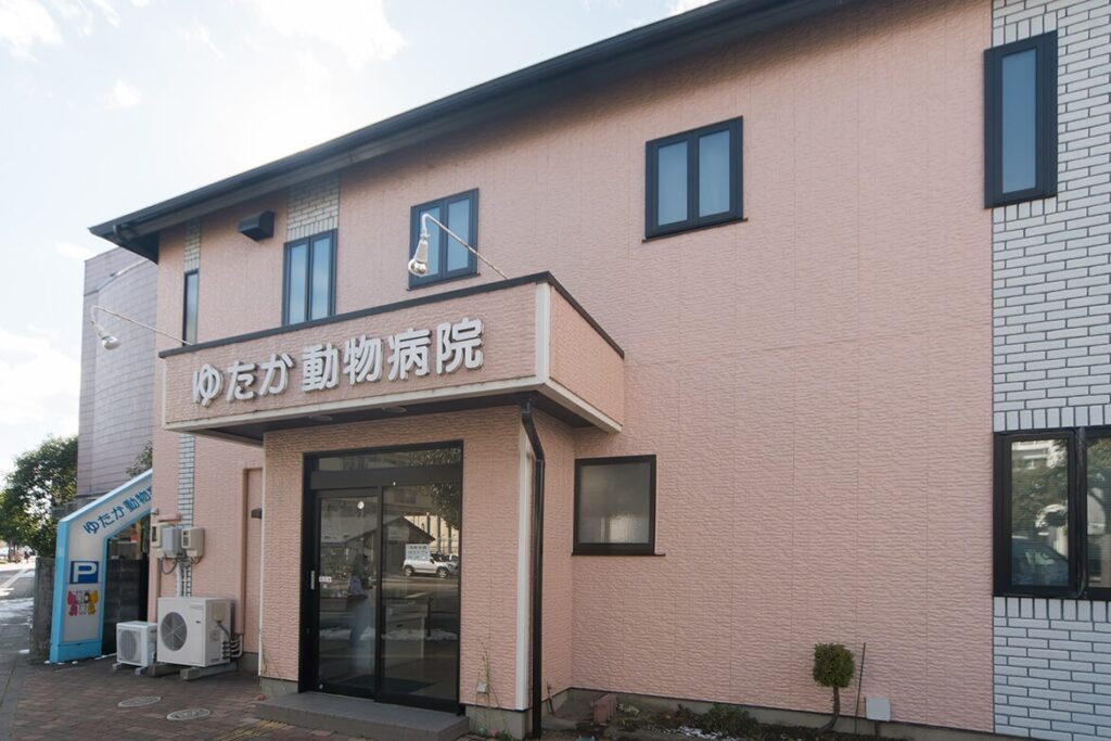 ゆたか動物病院