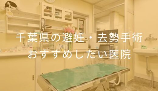 【2026年】千葉県の避妊・去勢手術 おすすめしたい6医院