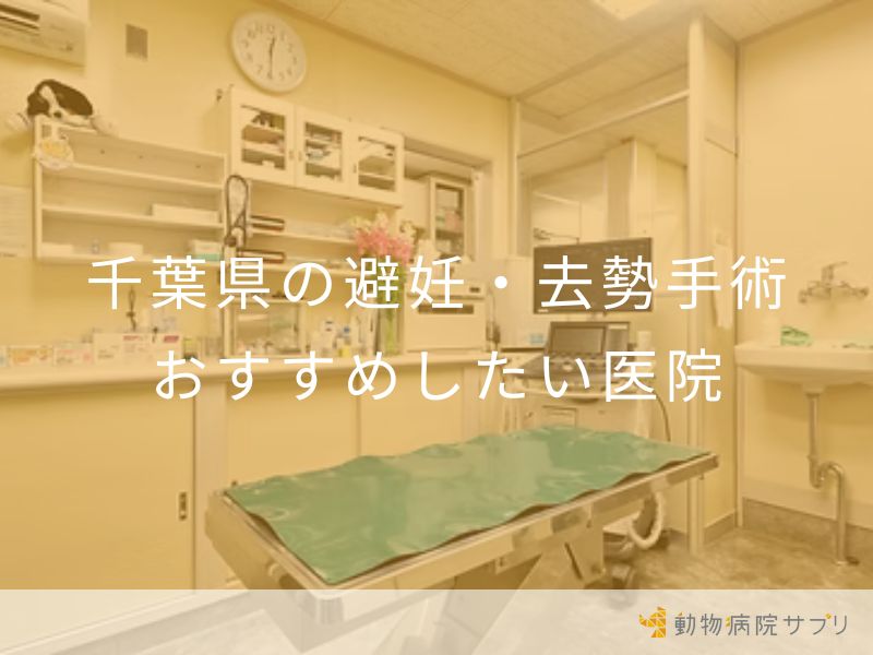 千葉県の避妊・去勢手術 おすすめしたい医院