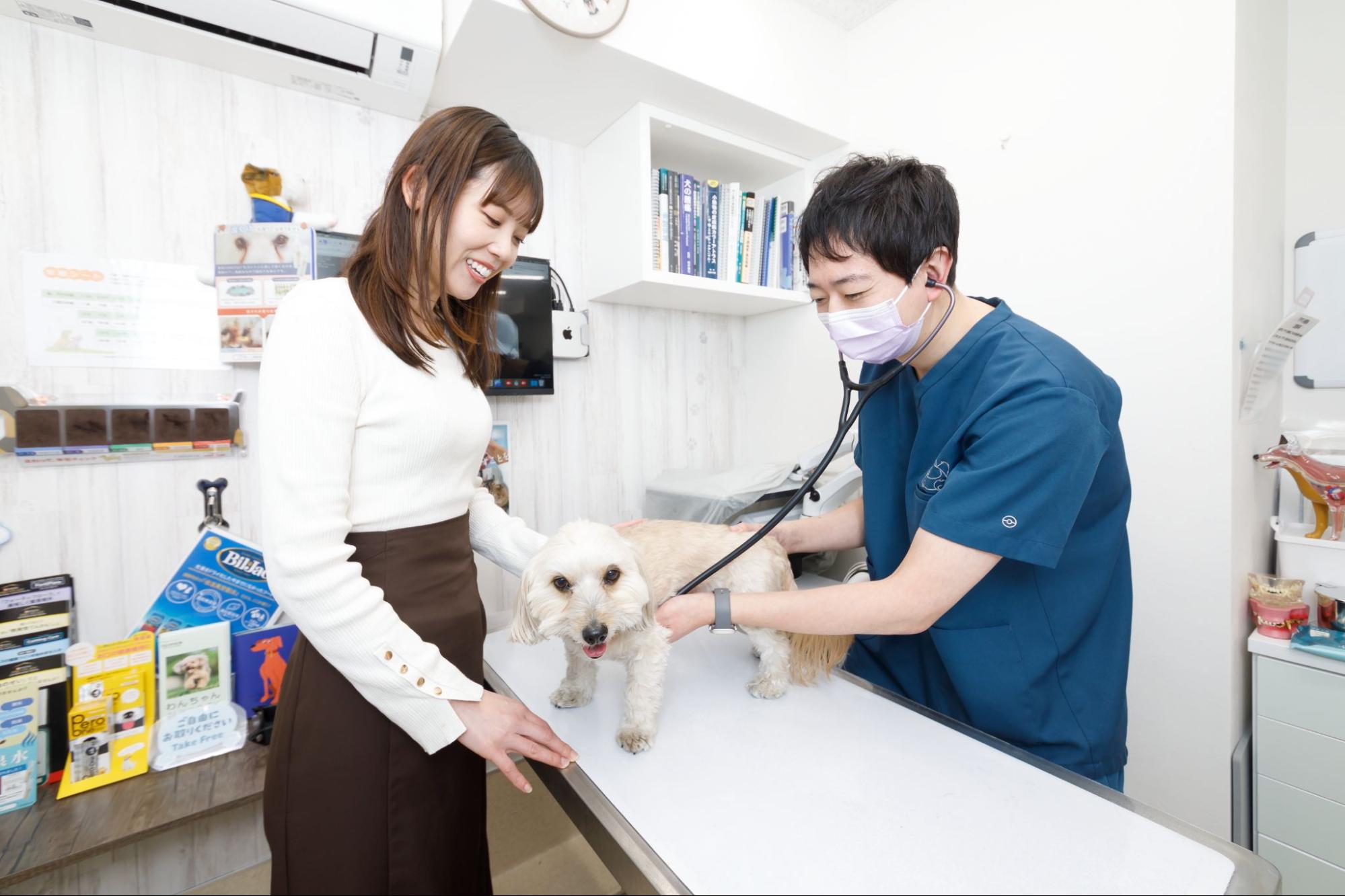 阿佐谷北動物病院photo