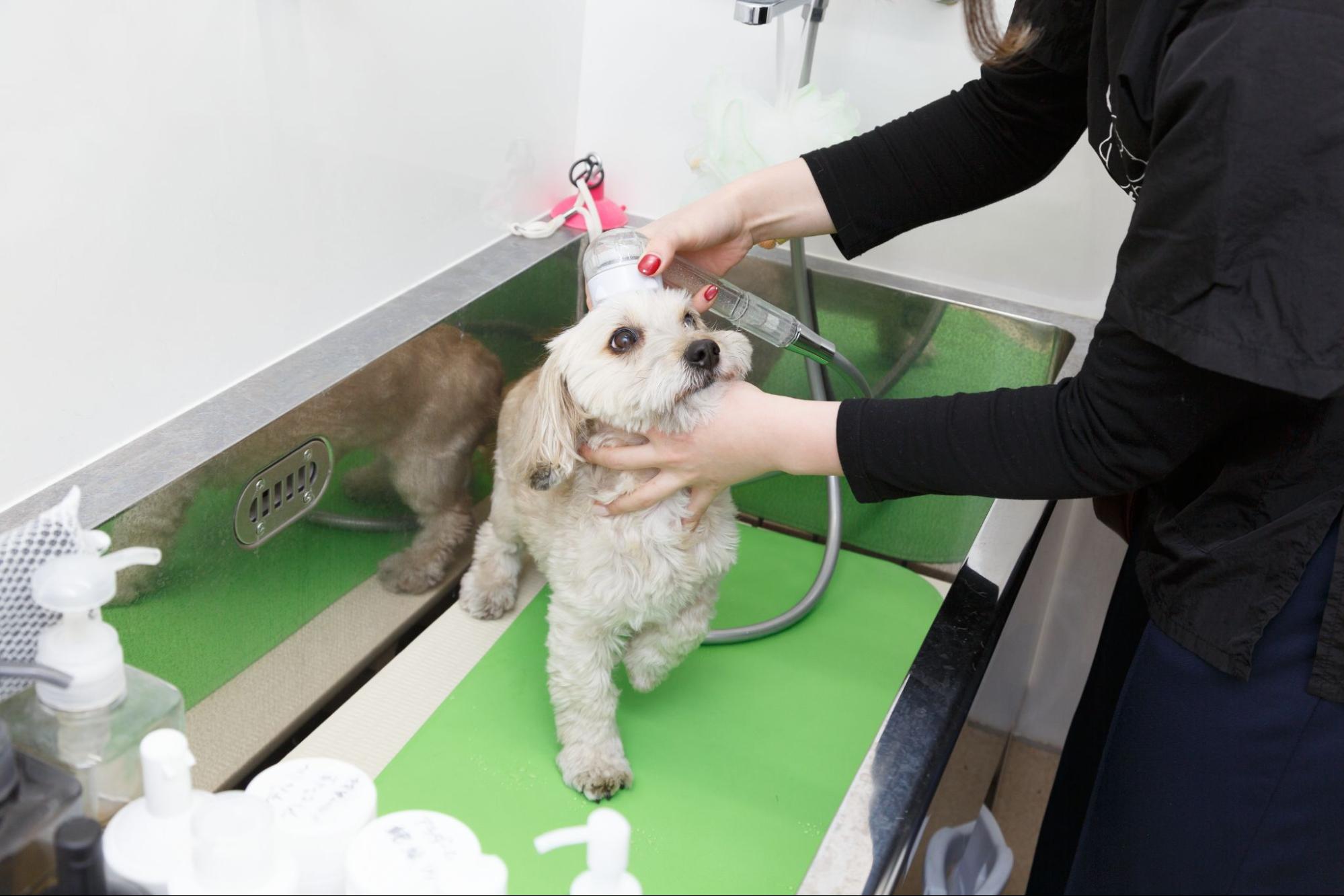 阿佐谷北動物病院photo