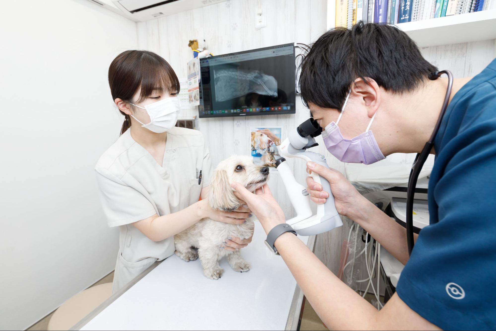 阿佐谷北動物病院photo