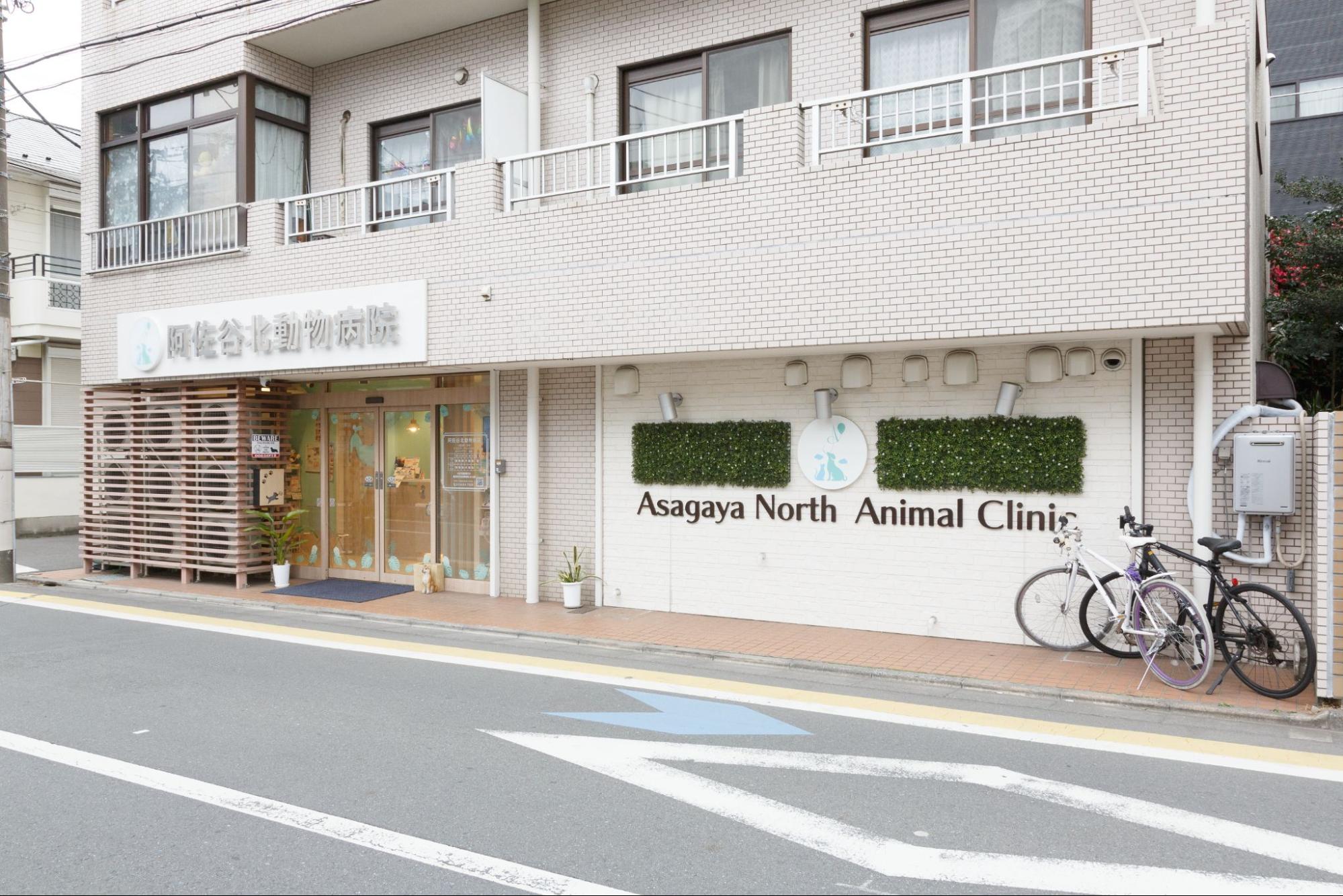 阿佐谷北動物病院photo