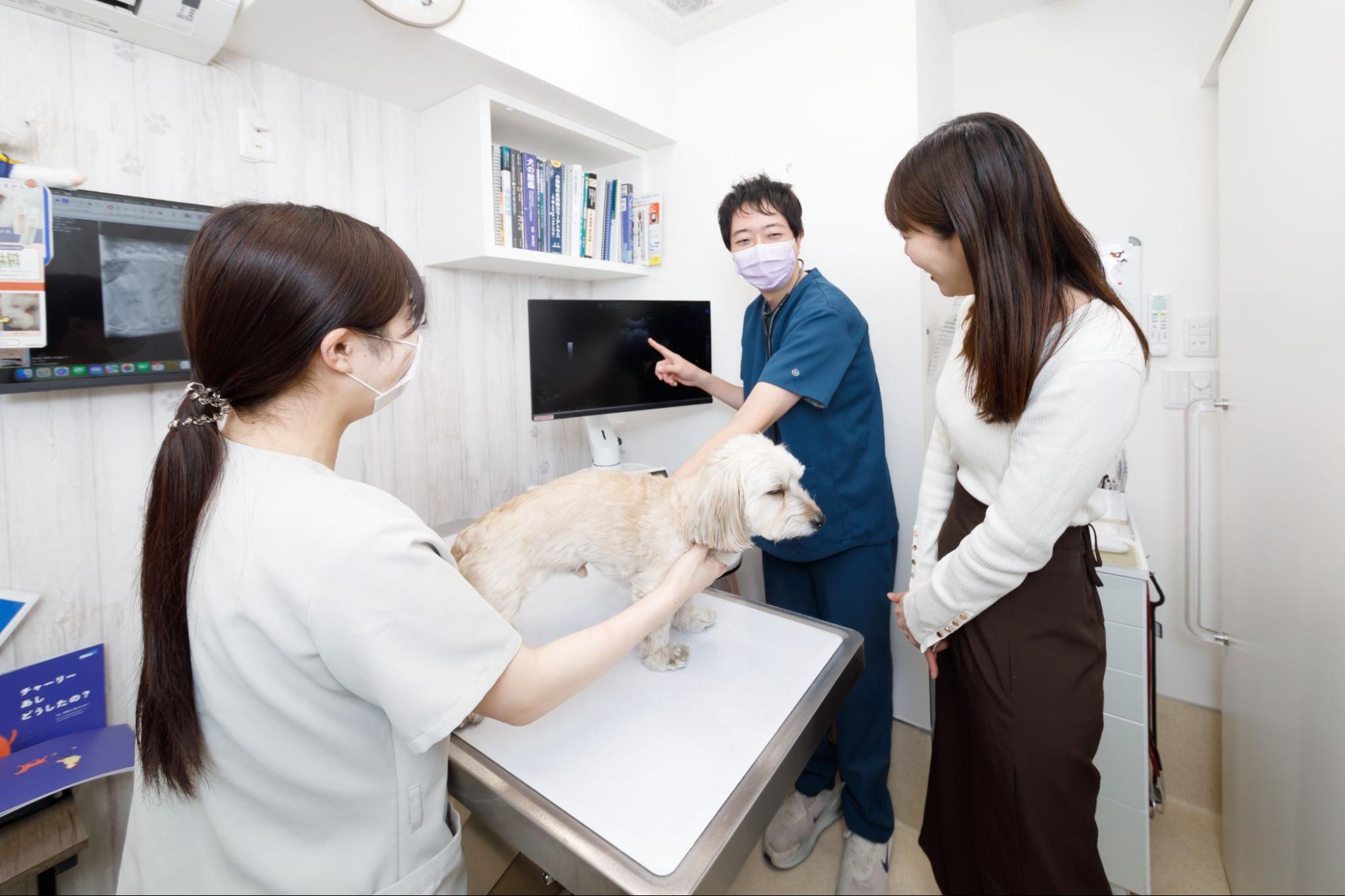 阿佐谷北動物病院photo