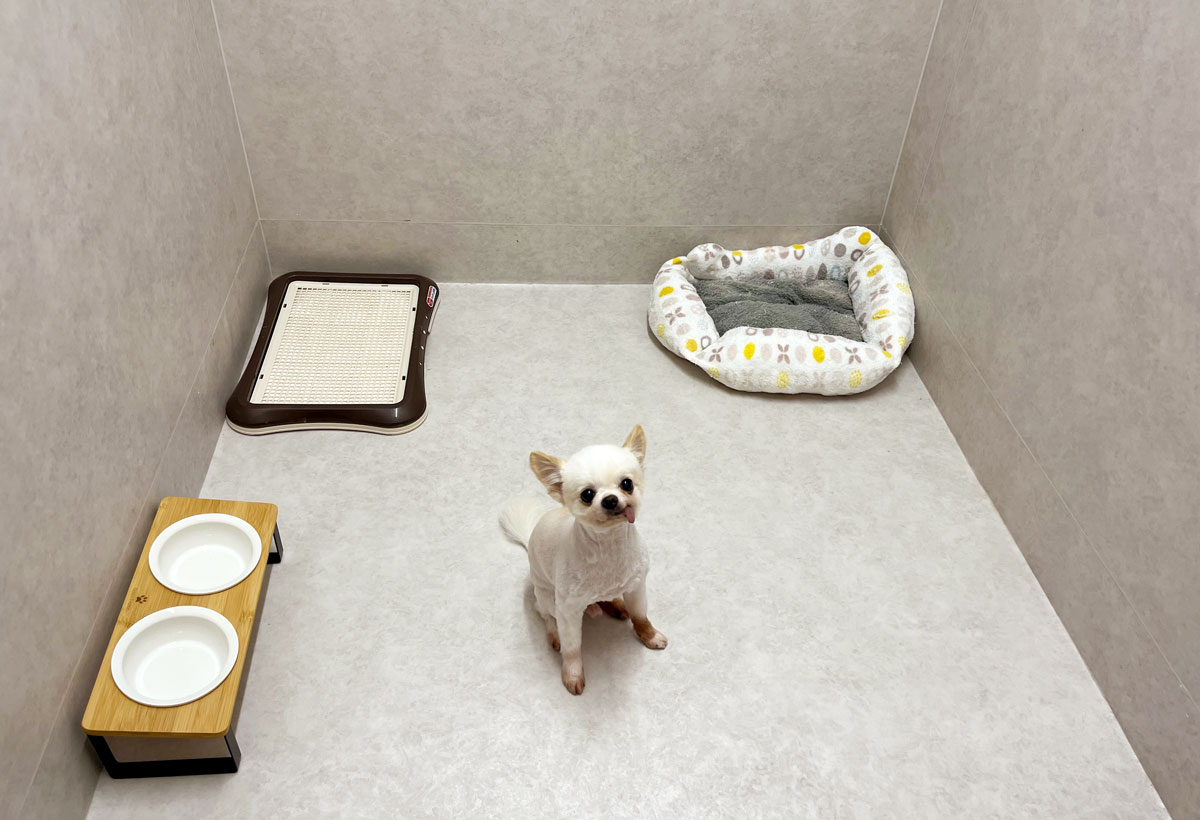 宝塚まりも動物病院photo