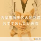 名古屋市熱田区の動物病院おすすめしたい医院