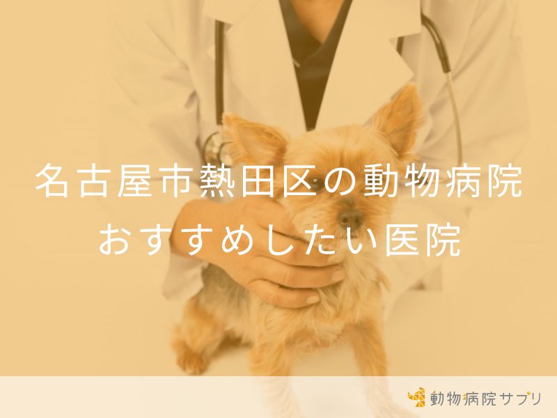 名古屋市熱田区の動物病院おすすめしたい医院