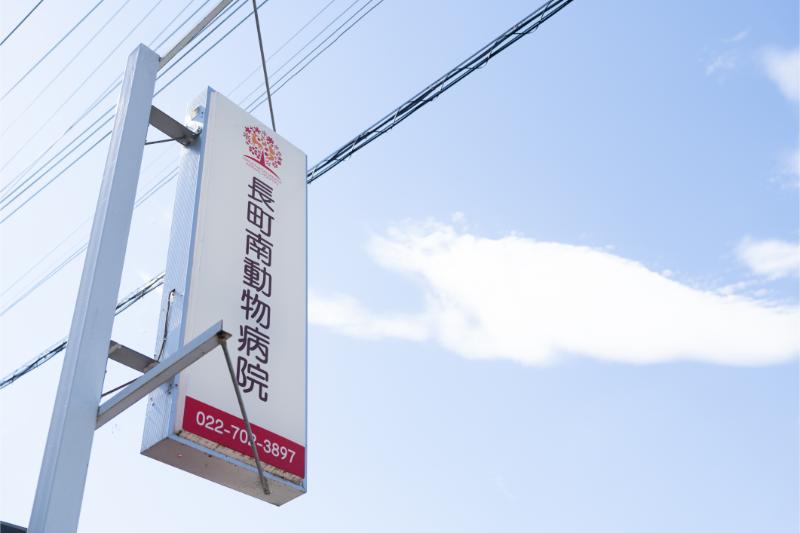 長町南動物病院