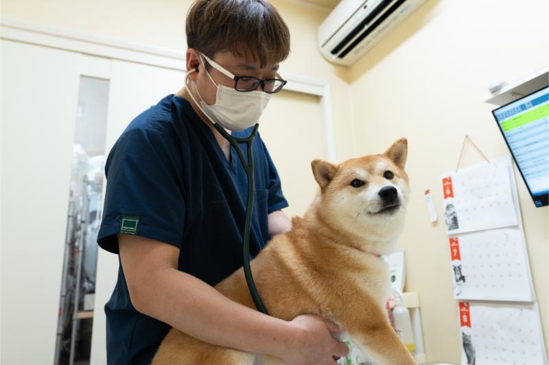 長町南動物病院