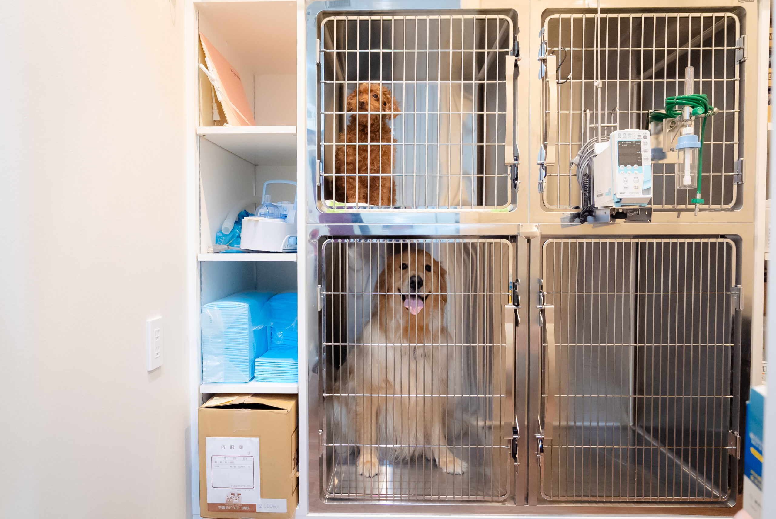 学園前どうぶつ病院photo