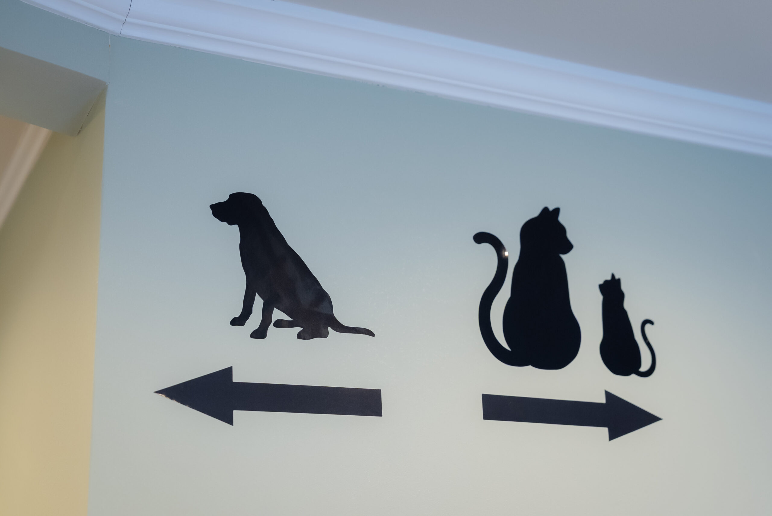 学園前どうぶつ病院photo