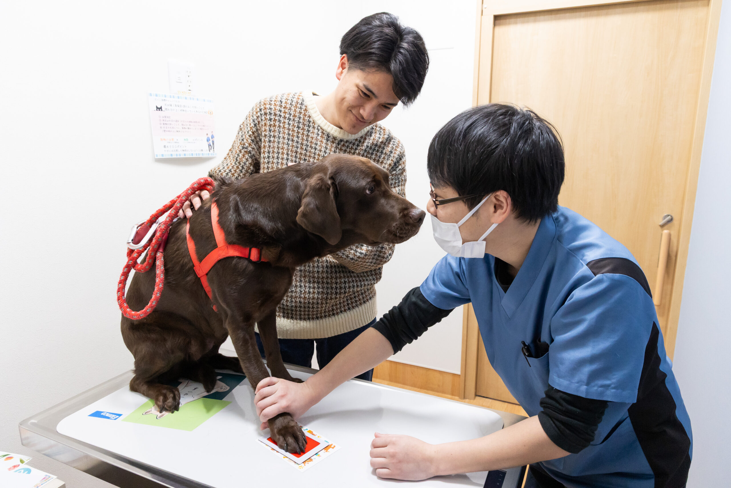 だっこ動物クリニックphoto