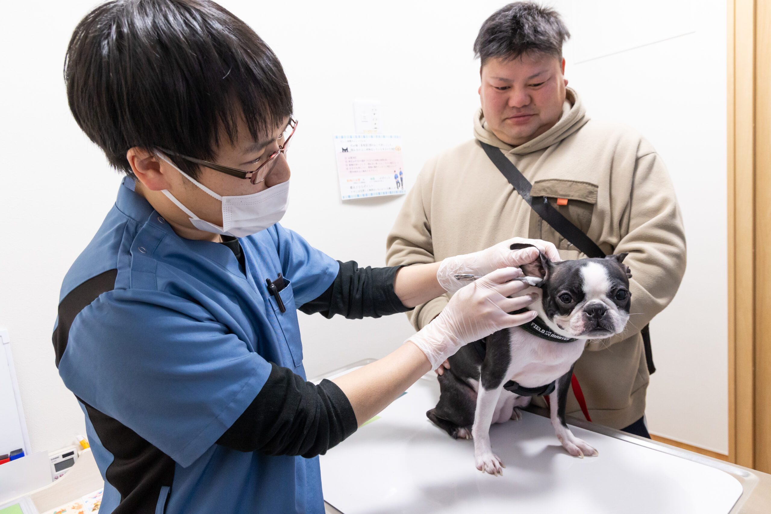 だっこ動物クリニックphoto