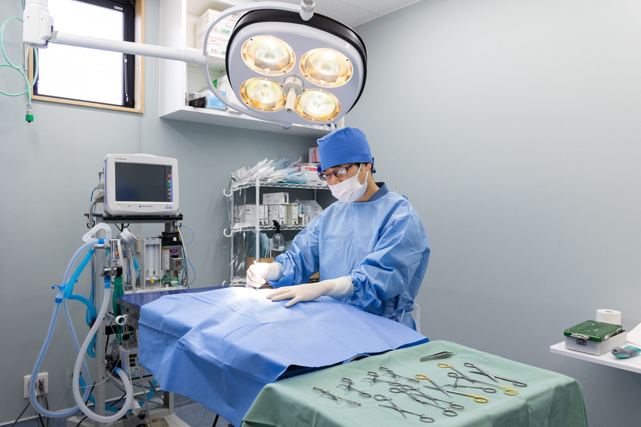 だっこ動物クリニックphoto