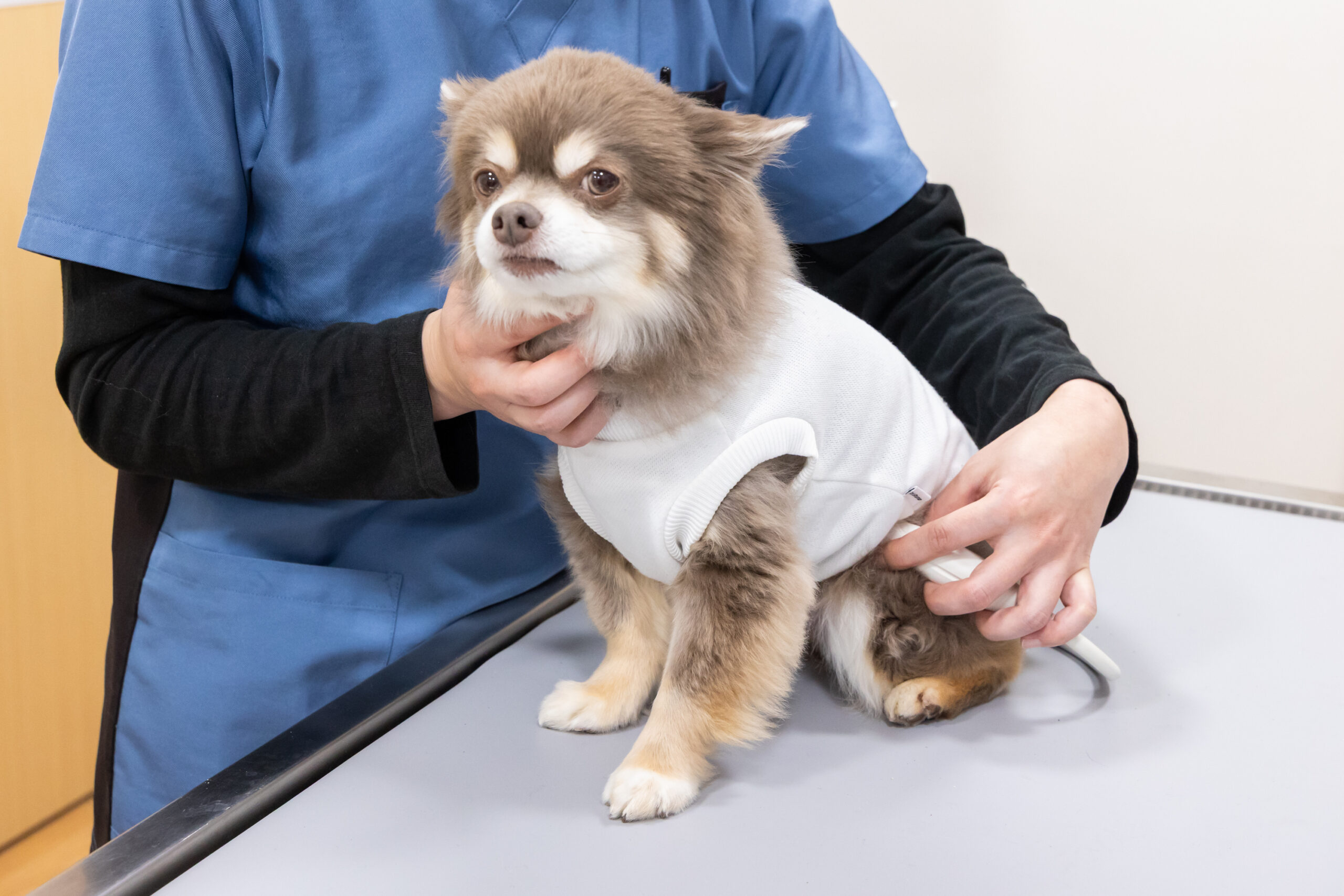 だっこ動物クリニックphoto