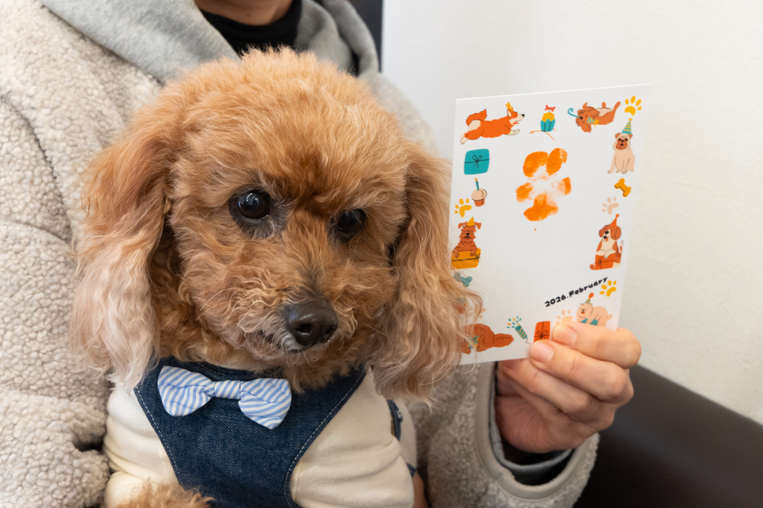 だっこ動物クリニックphoto