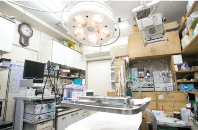 ナガワ動物病院