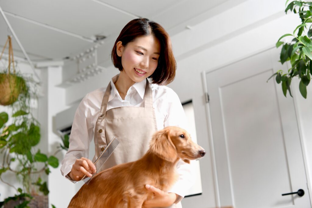 犬をブラッシングするトリマーの女性